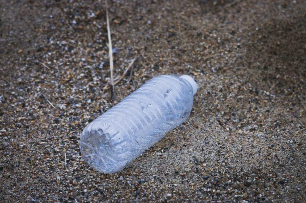 bouteille plastique pour piège a guêpe